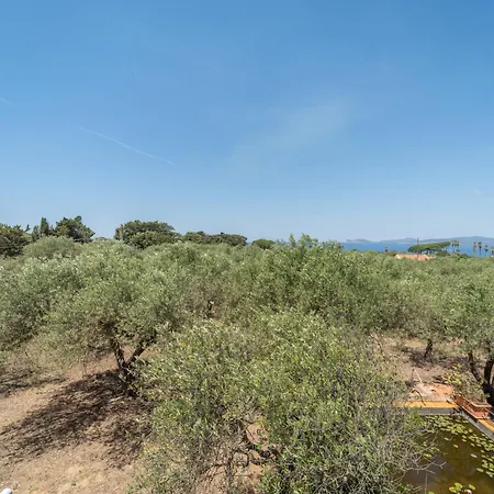Il Belvedere Di Padre Bellu - Vista Mare Apartman